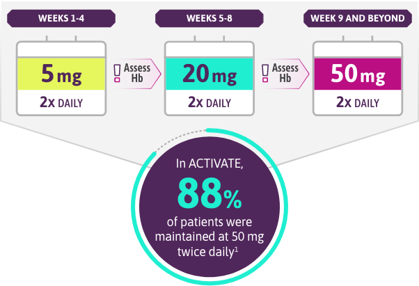 Week 1-4: 5 mg, 2x daily. Week 5-8: 20 mg, 2x daily. Week 9 and beyond: 50 mg, 2x daily.